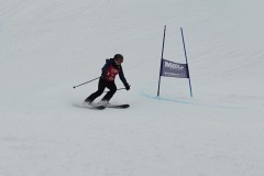 DSC00095