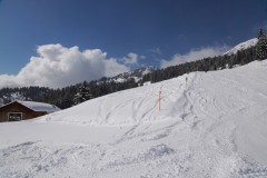 DSC06161-10403