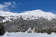 IMG_1719-10342