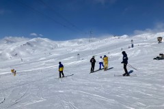 IMG_1759-10452