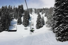 IMG_20210320_093606-10400
