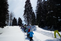 IMG_20210320_123254-10409