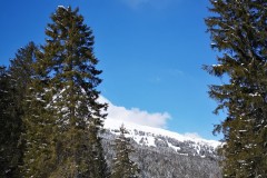 IMG_20210320_123628-10411