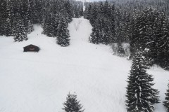 IMG_20210321_091759-10449