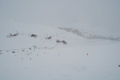 DSC03679-9071