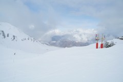 DSC03695-9081