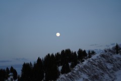 DSC01092-10165