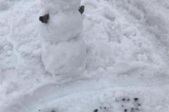 IMG-20240218-WA0002
