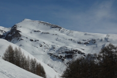 DSC03766