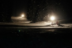 SONY DSC