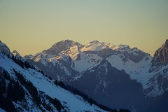 DSC05986-8431