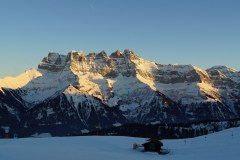 DSC05988-8433