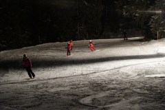 DSC06069-8474