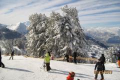 IMG_0061-4906