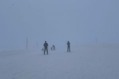 IMG-20241216-WA0021