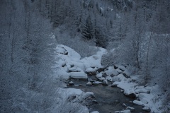 DSC03380-11324