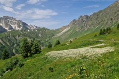 IMG-20250615-WA0026