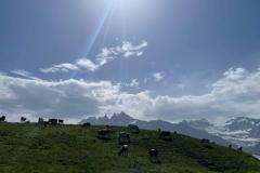 IMG-20250615-WA0030