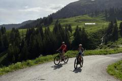 IMG-20250615-WA0040