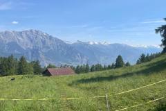 IMG_20230617_164119_859-11909