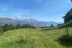 IMG_20230617_164120_515-11911