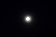 DSC01614-7732
