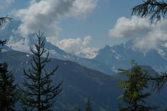 DSC05809-9984