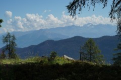 DSC05811-9986