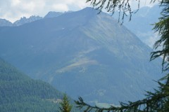 DSC05850-10002