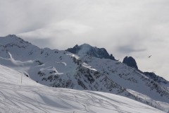 DSC01141-10181