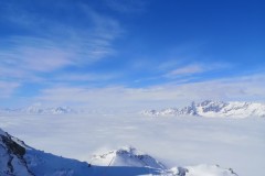 IMG_20230319_094806-11814