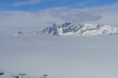 IMG_20230319_095559-11818