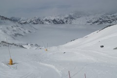 IMG_20230319_110447-11834