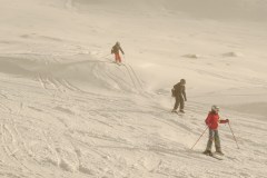DSC05491-8244