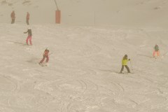 DSC05495-8246