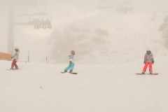 DSC05556-8271