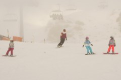 DSC05557-8272
