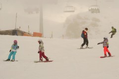 DSC05559-8274