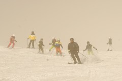 DSC05578-8281