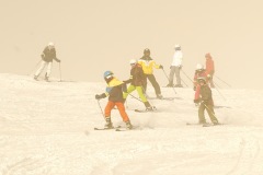 DSC05579-8282