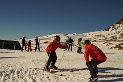 DSC05420-8207