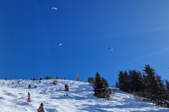 IMG-20250209-WA0163