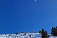 IMG-20250209-WA0164