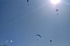 IMG-20250209-WA0165