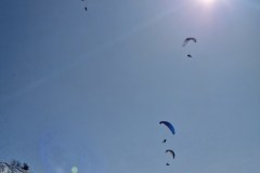 IMG-20250209-WA0166