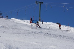 DSC09944-11082