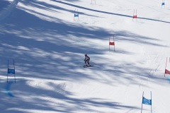 DSC09950-11087