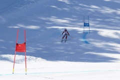 DSC09951-11088