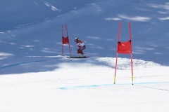 DSC09952-11089