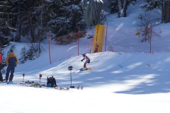 DSC09955-11091